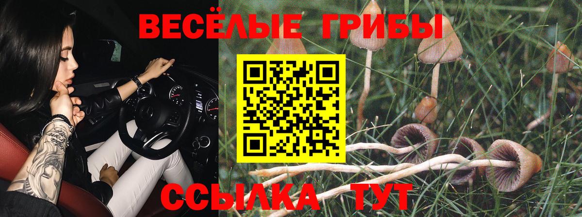 Псилоцибиновые грибы мицелий Верхняя Салда
